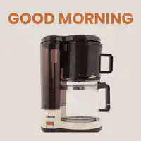 Coffee maker filling with coffee