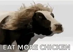 Cow with blonde hair eating chicken