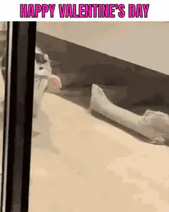 Cat brings toy on Valentine's Day