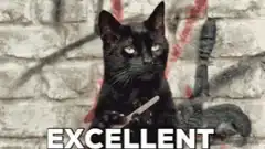 Black Cat Excellent Meme
