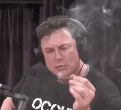 Elon Musk smoking a cigar