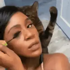 Woman applying makeup with cat