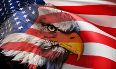 American flag bald eagle