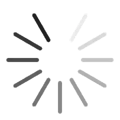 spinning loading icon