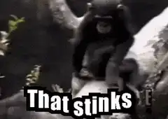 Chimpanzee That Stinks