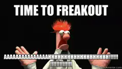 Freakout Animal Meme