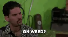 On Weed? Scene