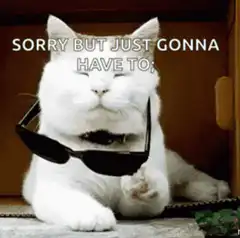 Cat puts on sunglasses deal with it