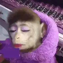 Monkey with makeup and purple hoodie