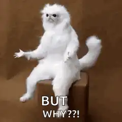 But Why?! Cat Meme