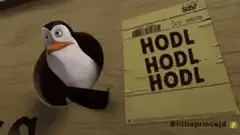 Penguin holding HODL sign