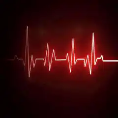 Bitcoin heartbeat animation