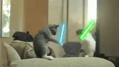 cats fighting with lightsabers