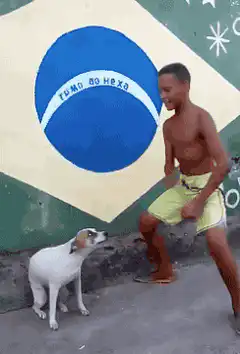 Boy and dog dance in front of Brazil flag