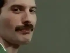 Freddie Mercury Smirk