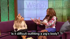 Wendy Williams asks about pig body outfit