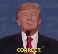Donald Trump nods and says correct