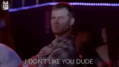 I Don't Like You Dude