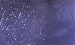 raindrops on a window