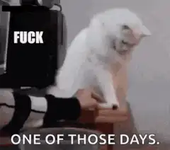 Cat knocks things off table