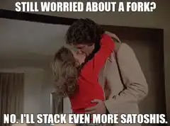 Still Worried About A Fork No I'll Stack Even More Satoshis