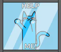 Help Me Cat GIF
