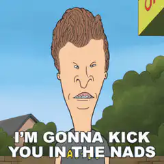 Beavis saying I'm gonna kick you in the nads