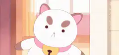 White cat with pink collar blinks