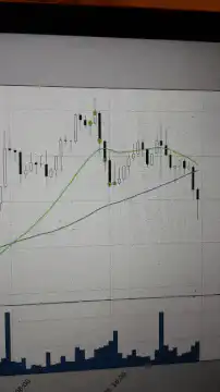 stock market candlestick chart animation
