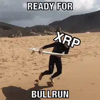 Surfer ready for XRP bullrun