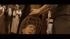 Man screaming in a beekeeper helmet