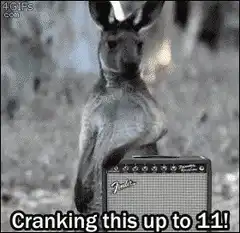 Kangaroo cranking guitar amp to 11