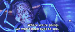 Where we're going we won't need eyes to see