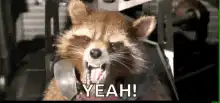 Rocket Raccoon yelling YEAH