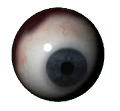 3D blue eye looking around