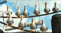 Seagulls on a wire saying Dad