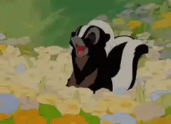 Flower Skunk laughing then crying
