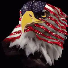Glittery American Flag Bald Eagle