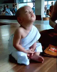 Baby monk falls asleep