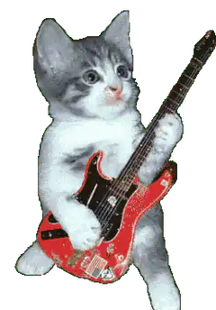 kitten playing red electric guitar
