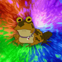 Psychedelic Frog