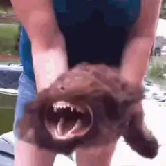 Person holding a screaming brown dog