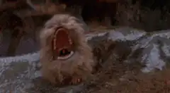 Fuzzy monster screaming with mouth wide open