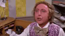 Willy Wonka You Get Nothing Good Day Sir
