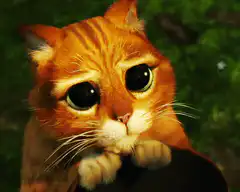 Sad orange cat with big eyes