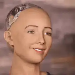 Sophia the robot smiles then looks confused