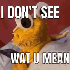 Bearded Dragon Confused Goggles