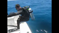 scuba diver back roll entry