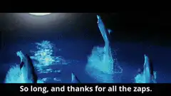 Dolphins jumping at night with caption