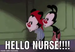 Yakko and Wakko Hello Nurse